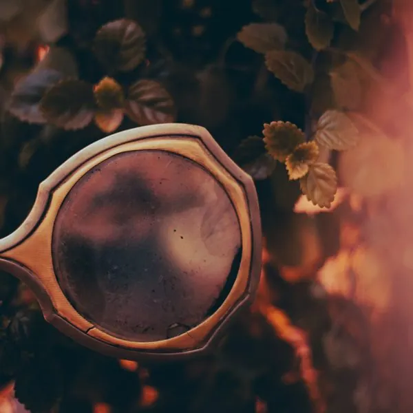 Evaporar — Bruxx